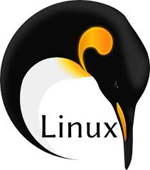 عیب یابی مشکلات Syslog: راهنمای جامع ثبت لاگ از راه دور در لینوکس